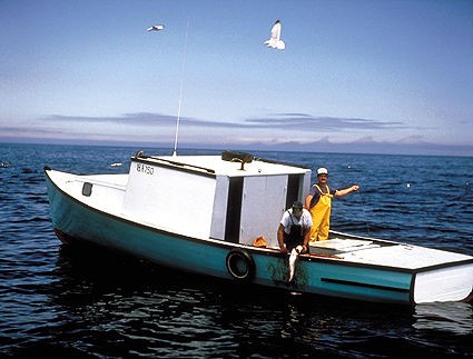 About - The canadian fishing industry