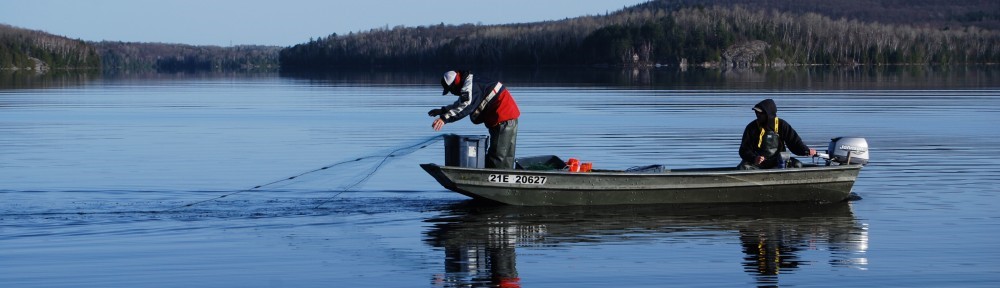The fresh water fishery - The canadian fishing industry
